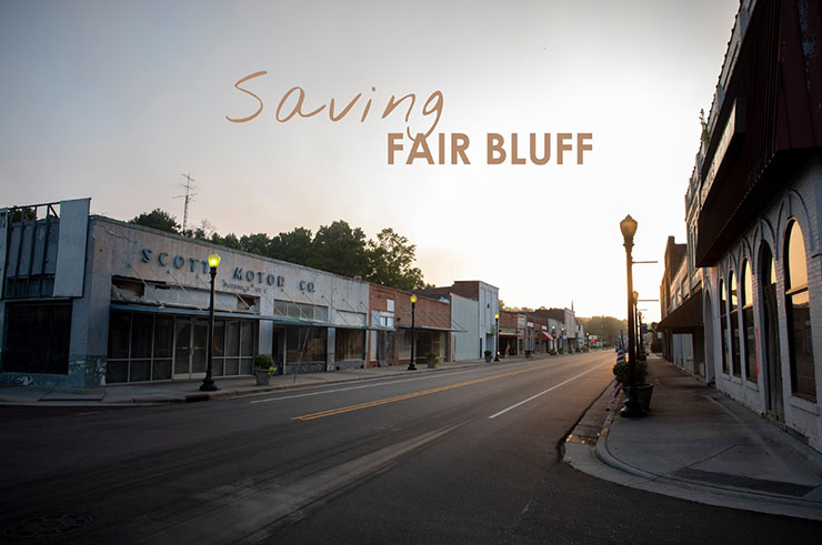 Saving Fair Bluff