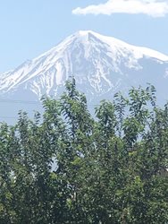 Ararat