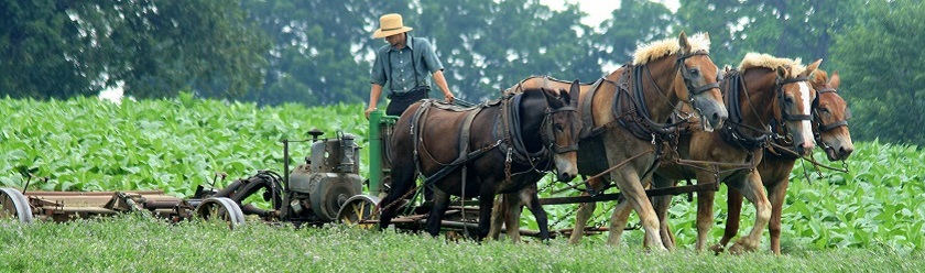 22-Amish-Bushhog-2-(2).jpg
