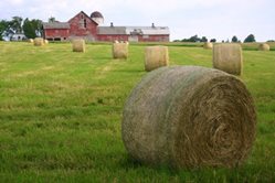 Vermont-farm